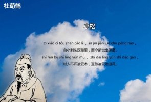 小松杜荀鹤古诗带拼音版