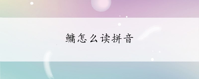 鳙怎么读拼音