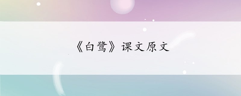 《白鹭》课文原文