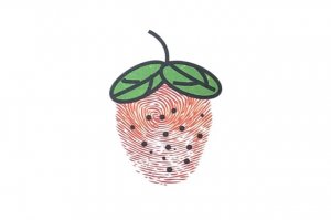 草莓手指画画法