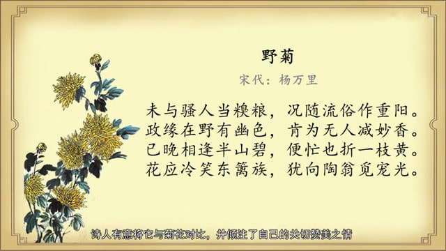 杨万里野菊古诗带拼音版