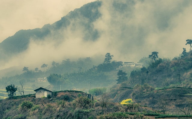 翁卷山雨古诗带拼音版