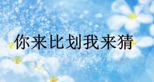 你来比划我来猜作文600字