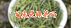 毛尖是绿茶吗