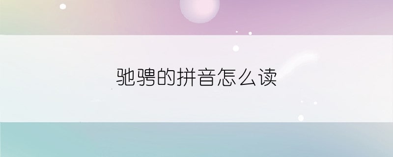 驰骋的拼音怎么读