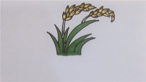 水稻简笔画怎么画简单图片