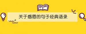 关于感恩的句子经典语录