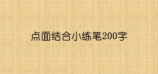 点面结合小练笔200字