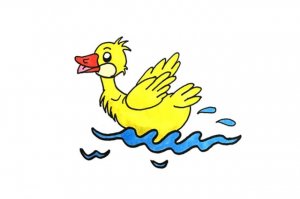 开心游泳的小鸭子简笔画怎么画