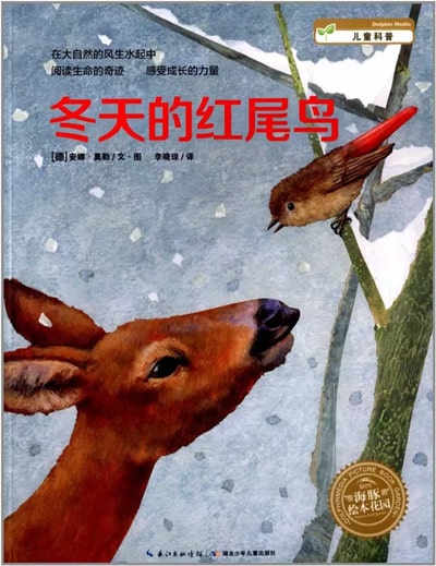 关于冬天的雪高颜值绘本推荐