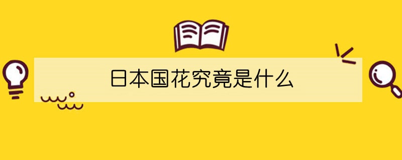 日本国花究竟是什么