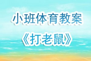 幼儿园小班体育游戏教案《打老鼠》含反思