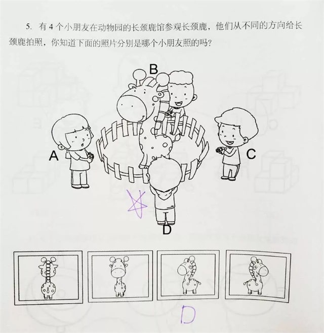 幼小衔接必学知识点