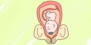 胎儿一般几周入盆？