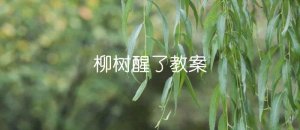 柳树醒了教案（4篇）