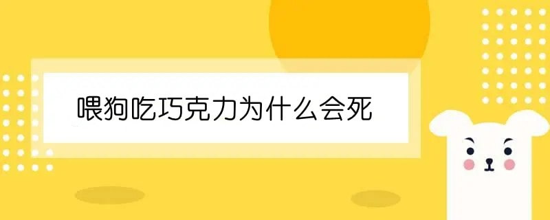 喂狗吃巧克力为什么会死