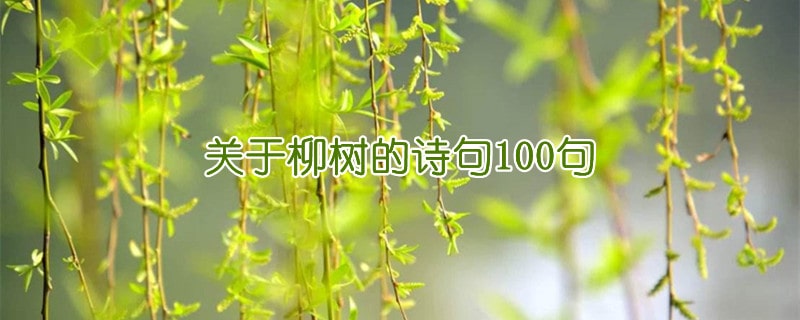 关于柳树的诗句100句