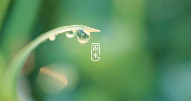 雨水节气 ，一场春雨一场暖