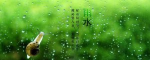 雨水节气的诗词