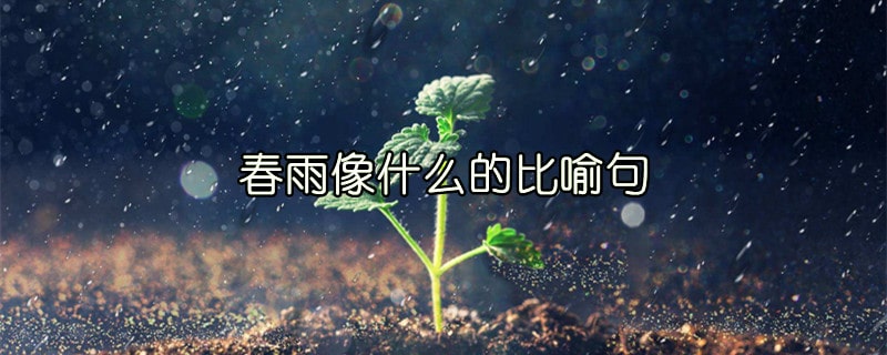 春雨像什么的比喻句