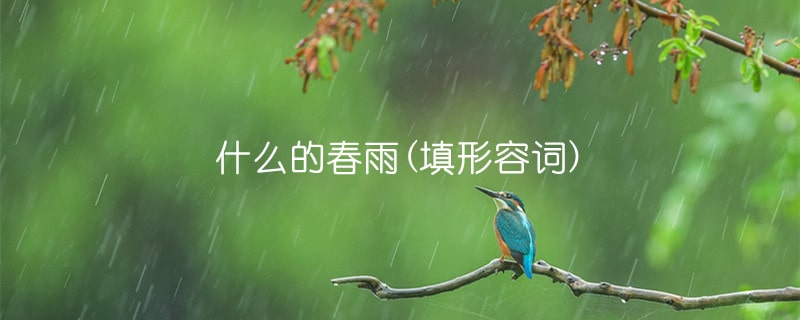 什么的春雨(填形容词)