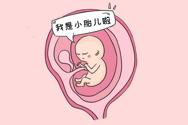 怀孕期间注意事项，胚胎最怕这些事