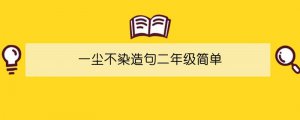 一尘不染造句二年级简单