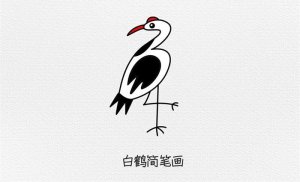 白鹤简笔画怎么画简单又漂亮