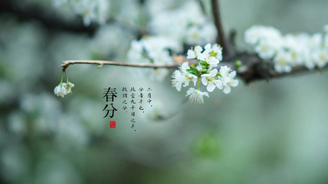 春分节气的由来及习俗