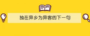 独在异乡为异客的下一句