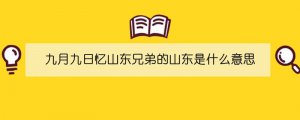 九月九日忆山东兄弟的山东是什么意思