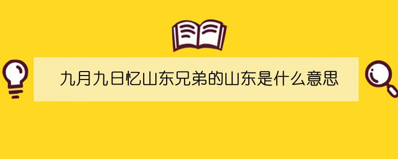 九月九日忆山东兄弟的山东是什么意思