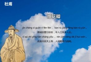 杜甫赠花卿古诗带拼音版