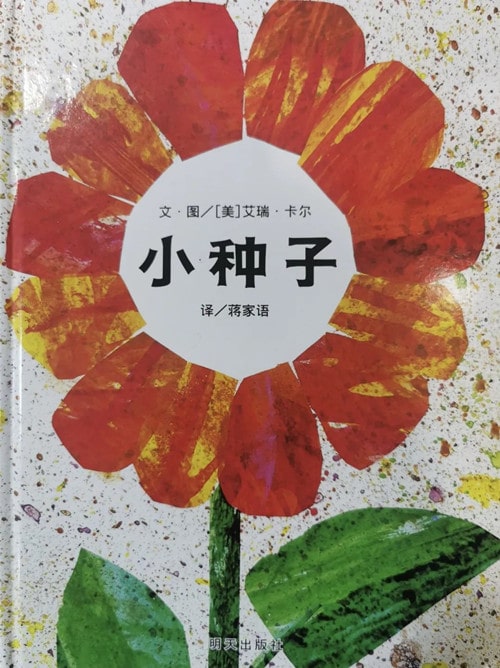 儿童绘本故事《小种子》