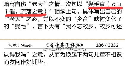 乡音无改鬓毛衰的衰是什么意思