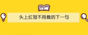 头上红冠不用裁的下一句