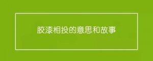 胶漆相投的意思和故事