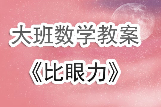 幼儿园大班数学教案《比眼力》含反思